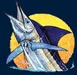 Nomad Sportfishing